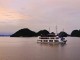 pelican cruise8
